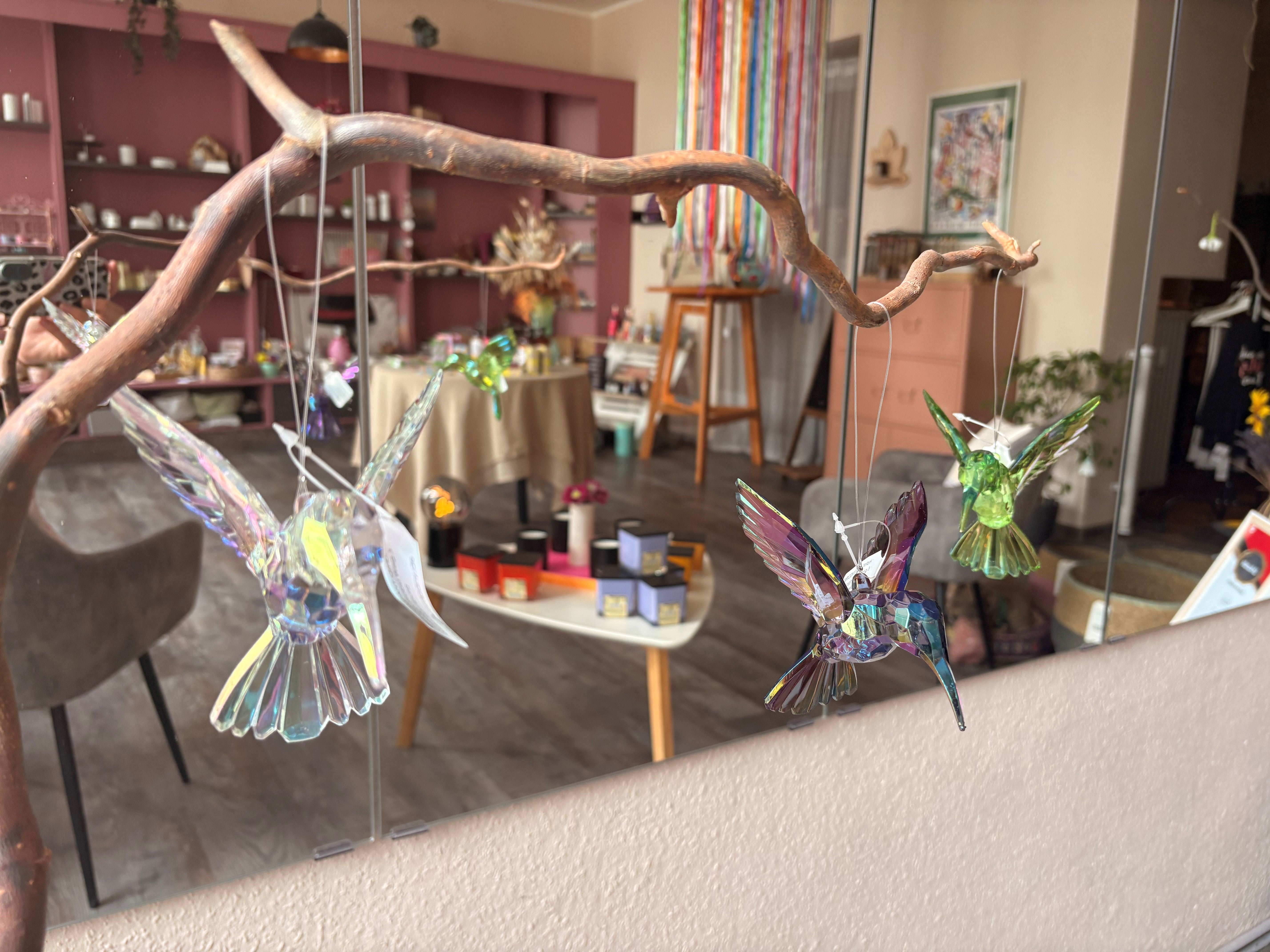 Kolibri_alleFarben_gross